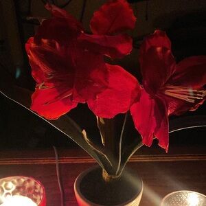 Meet your Posher, Kymi